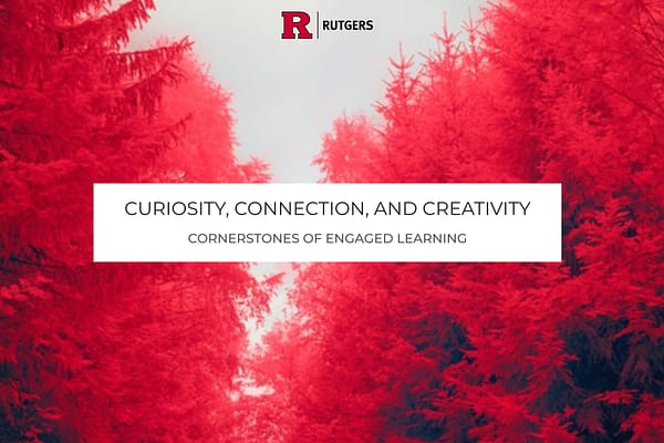 Trees with red leaves, leading you into the distance