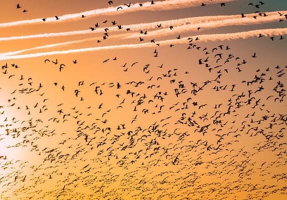 Photo by Barth Bailey on Unsplash