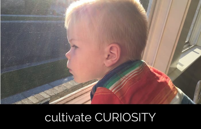 CURIOSITY