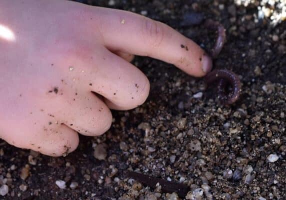 DSC_0130 (Large) (Medium)