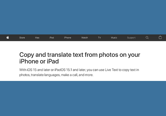 Get to know the live text feature on iOS
